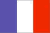 french-flag.gif (353 bytes)